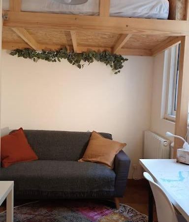 Petit Mignon - Hypercentre Toulouse Apartment Exterior photo