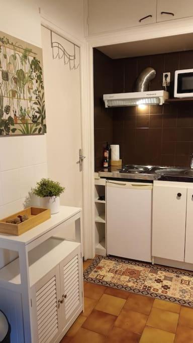 Petit Mignon - Hypercentre Toulouse Apartment Exterior photo