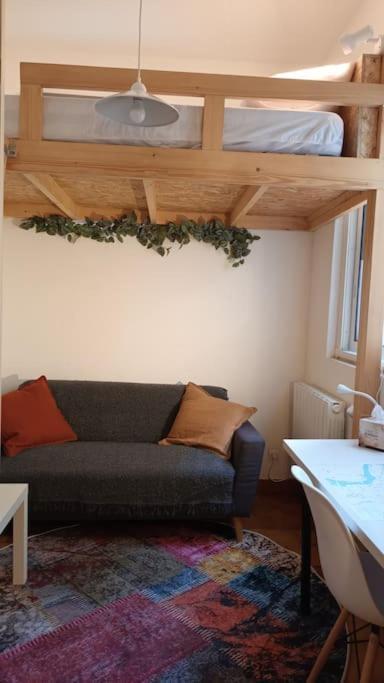 Petit Mignon - Hypercentre Toulouse Apartment Exterior photo